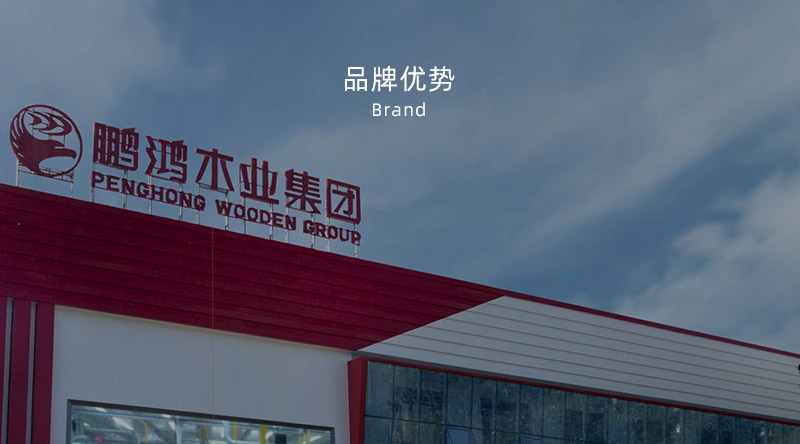 板材品牌、全屋定制品牌、生態板十大品牌